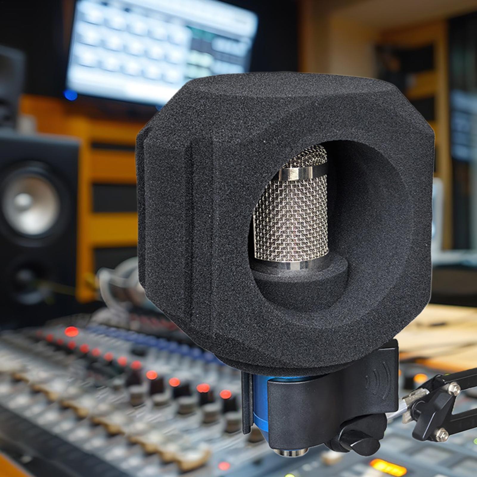 Microphone Isolation Ball Nois - Shure Mic Sm58 评论和价格